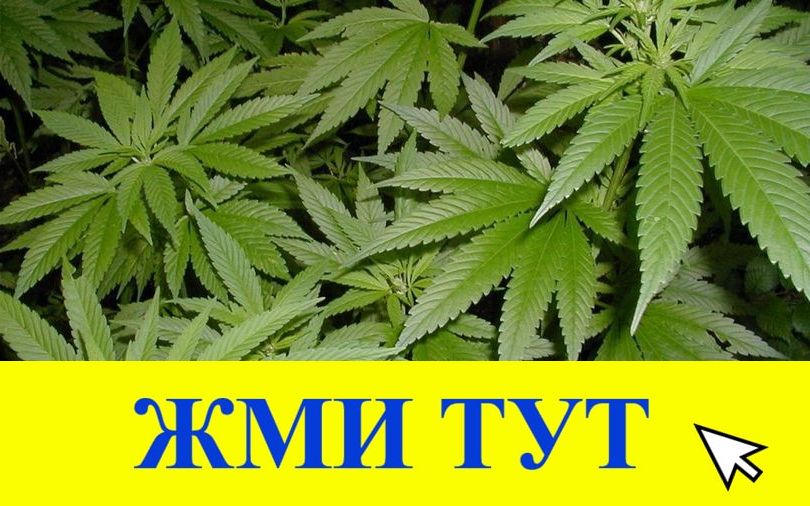 Купить наркотики в Тимашёвске